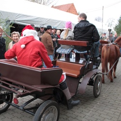 Weihnachtsmarkt 2009