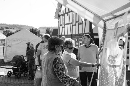 IMG 4551